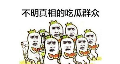 吃瓜群众改编,吃瓜群众视角下的娱乐圈风云录