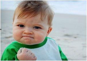 白山吃瓜,揭秘网络热点的背后故事