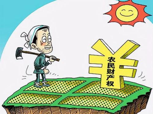 全校吃瓜重难点,趣味与智慧的碰撞