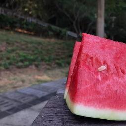 农村人吃瓜吃累了,瓜果飘香，消暑解乏的悠闲时光
