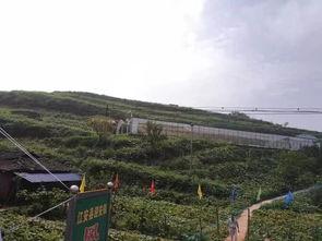 梁山观景台吃瓜事件,一场意外的网络狂欢