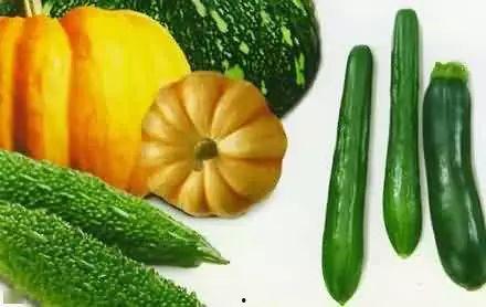 东郭吃瓜,揭秘瓜界风云人物