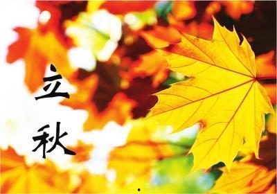 立秋吃瓜的文案,瓜果飘香，尽享丰收美味