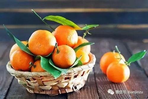 天津轻工吃瓜,瓜香四溢，品味生活新风尚