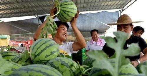 吕梁吃瓜直播,揭秘网红美食背后的故事