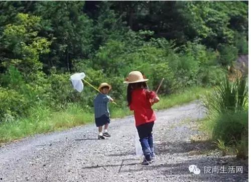 徽县吃瓜事件始末,一场网络热议背后的真相与反思