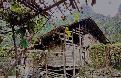 吃瓜道士青岛,探寻神秘传说与美食之旅