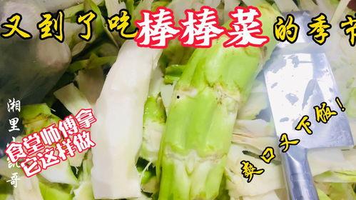 遂昌教师吃瓜,揭秘校园背后的“瓜田”风云