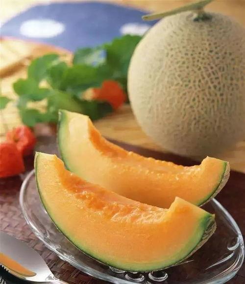 低头吃哈密瓜,哈密瓜的甜蜜诱惑