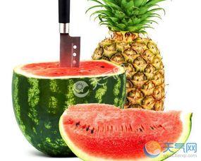 吃瓜的菠萝,揭秘瓜界新宠儿的魅力与故事