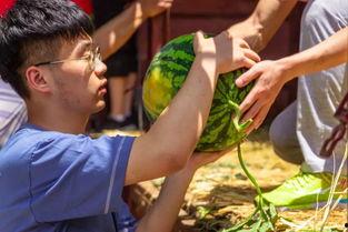 花臂老师吃瓜,揭秘娱乐圈幕后故事