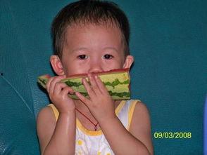 吃瓜楠楠3,娱乐圈背后的故事与真相