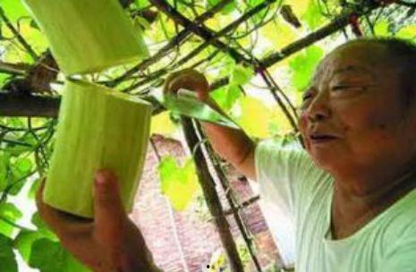 砍一瓜如何吃,砍一瓜的创意食用攻略